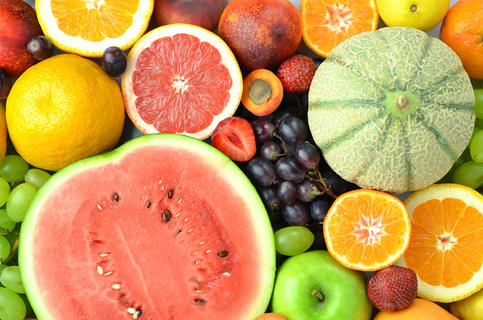 水果與無(wú)脊椎動(dòng)物 自然界的多彩素材