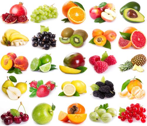 生機與靜美 白色背景下的水果與無脊椎動物攝影素材賞析