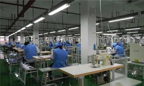 玉屏又一家大企業(yè)開工——工業(yè)工程設計服務助推區(qū)域經(jīng)濟高質(zhì)量發(fā)展